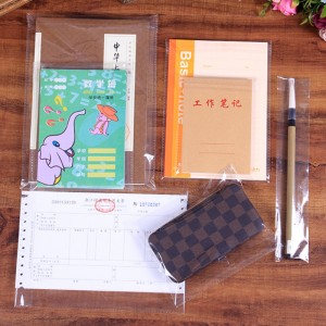 uudelleen suljettava OPP CPP PE Itseliimautuva vedenpitävä hermeettinen tiiviste muovipussi koruja varten sähköiset kannettavat tarvikkeet pakkaus