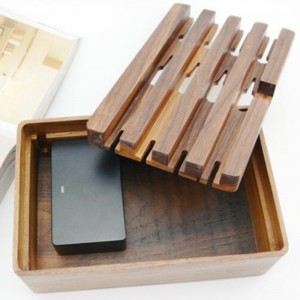 NATURALS DOCKING \u0026 CHARGING STATION