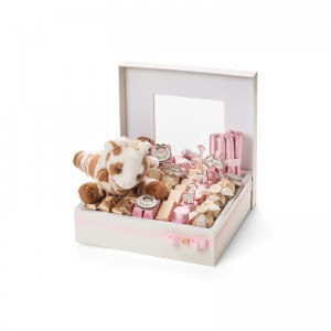 Hot myynti macaron pakkaus laatikko kansi macaron laatikko design