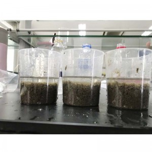 Tarjota polyakryyliamidia teollisen jäteveden käsittelyyn