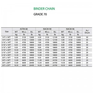 G70 Binder Chain, jossa on 2 Clevis Grab Hook