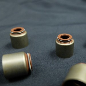 Kiinalainen toimittaja venttiilivarren tiiviste Renault-autoihin