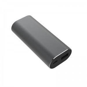 WS-P2 Smart Voice kääntäjä Earbuds