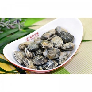 PAKASTETTU SHELL-ON CLAM