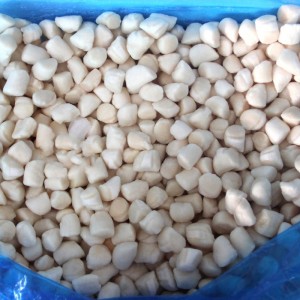 Jäädytetty Bay kampasimpukoiden liha