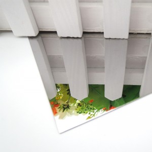 304 8 kk: n peilatut, ruostumattomasta teräksestä valmistetut levyt hissien sisustamiseen