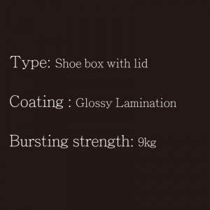 Kenkäkotelo, jossa on kansi