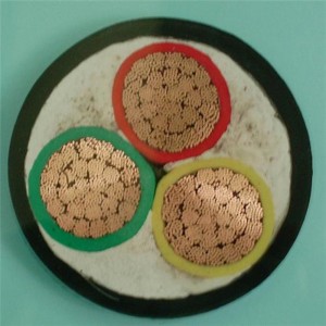 0,6 / 1kv 3 X 6mm2 LV virtajohto Pvc-eristetty Cu-kiinteä / kierrejohdin