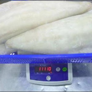 Jäädytetyt kevyt suolatut Atlantin seitin fileet