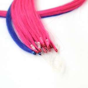 Mikrorengas --Crown07