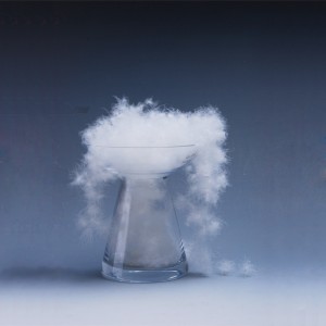 Luonnollinen ankka, hanhen untuvahihna