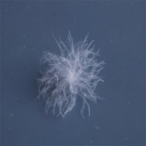 Luonnollinen ankka, hanhen untuvahihna