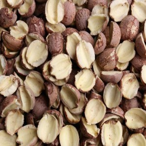 lootus siementen poisto avoimen reunan ydin kone