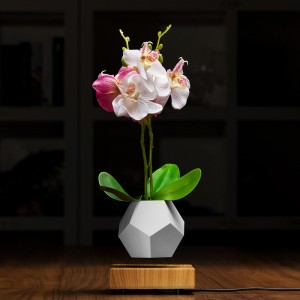 magneettinen levitaatio kelluva kasvi potin ilma bonsai PA-0708