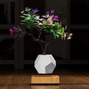 magneettinen levitaatio kelluva pohja ilma bonsai potin istutuskoneet PA-0708