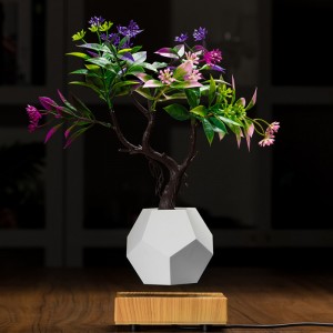 uusi puinen pohja magneettinen levitaatio pohja flyte air bonsai potin istutuskone