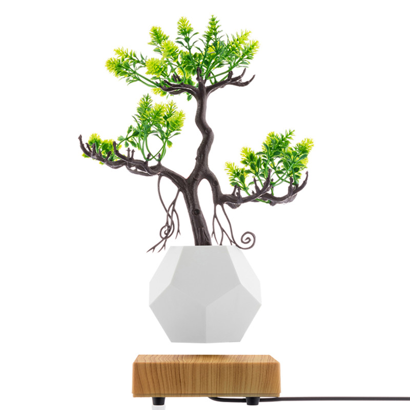 uusi puinen pohja magneettinen levitaatio pohja flyte air bonsai potin istutuskone