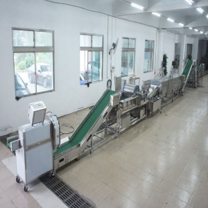 Suuri purjo tappaa tuotantolinjan