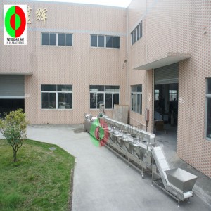 Monitoiminen vihannesten pesukone / vihannesten pesukone tuotantolinja / kolmikerroksinen lajittelu puhdasta vihannesten käsittelyä tuotantolinja