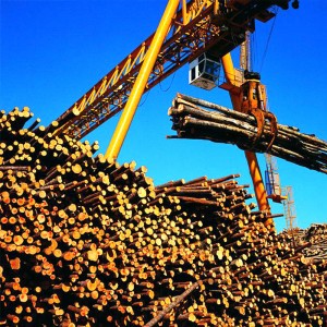 Portaalinosturi tarttumalla