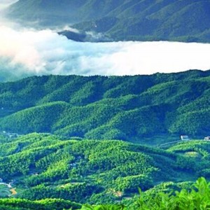 instant musta tee hunan anhua musta tee terveydenhuollon teetä