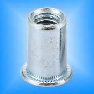 Litteä pää pyöreä runko