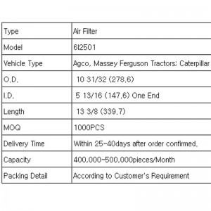 Ilmasuodatin (6I2501)