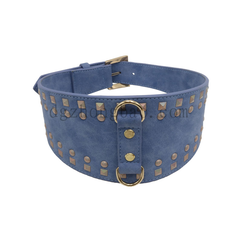 Erikoinen koiran kaulus