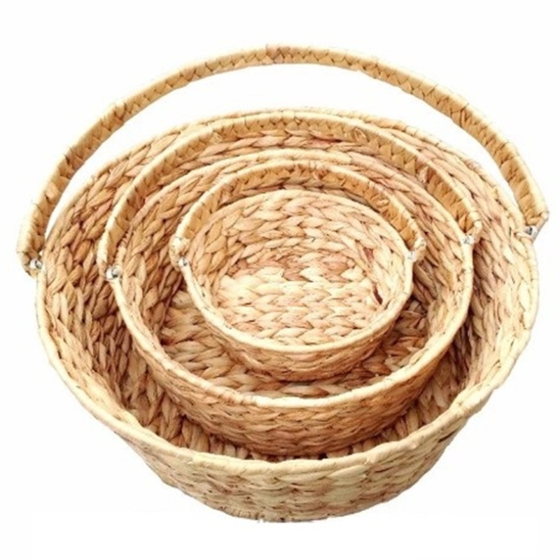 Vesihyasinttikori kahvalla