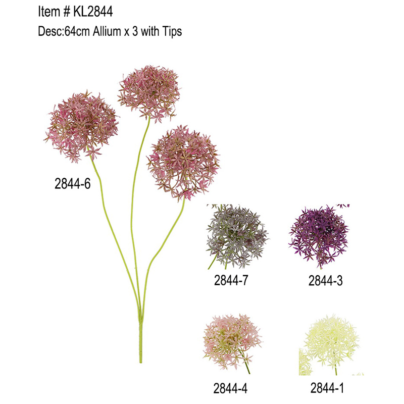 64cm Allium x 3 Tipit