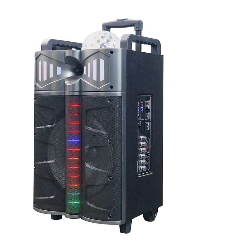 Trollry-kaiutin Y-DJ1201-12H