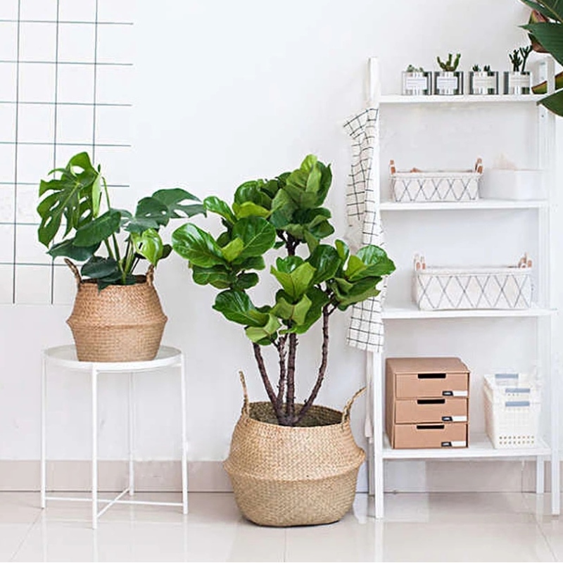 Kodinsisustus kukkaruukun jalusta soikea roikkuu meriheinän säilytyskori