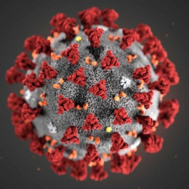 \\\\\ Killer solut\\\\\\ voi suojata COVID-19