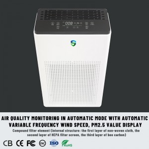 Kaksoispuhdistaja (aktiivinen puhdistus + passiivinen puhdistus)