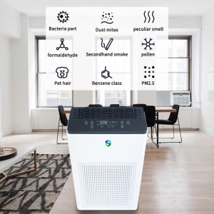 Kaksoispuhdistaja (aktiivinen puhdistus + passiivinen puhdistus)