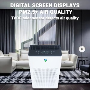 Kaksoispuhdistaja (aktiivinen puhdistus + passiivinen puhdistus)