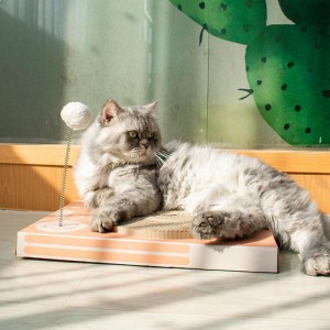 Cat Scratch Board Suit