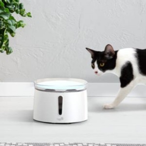 2L Automaattinen veden annostelija