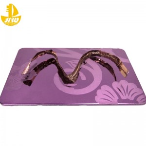 Ruostumattomasta teräksestä valmistettu peilipaneelinro 2