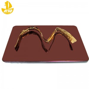 Ruostumaton teräs peilipaneelinro 4