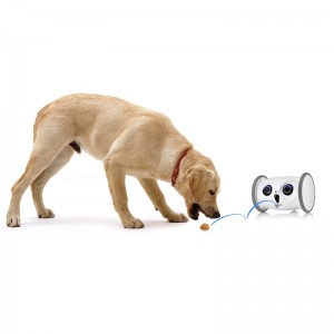 Smart Owl Robot Sitat