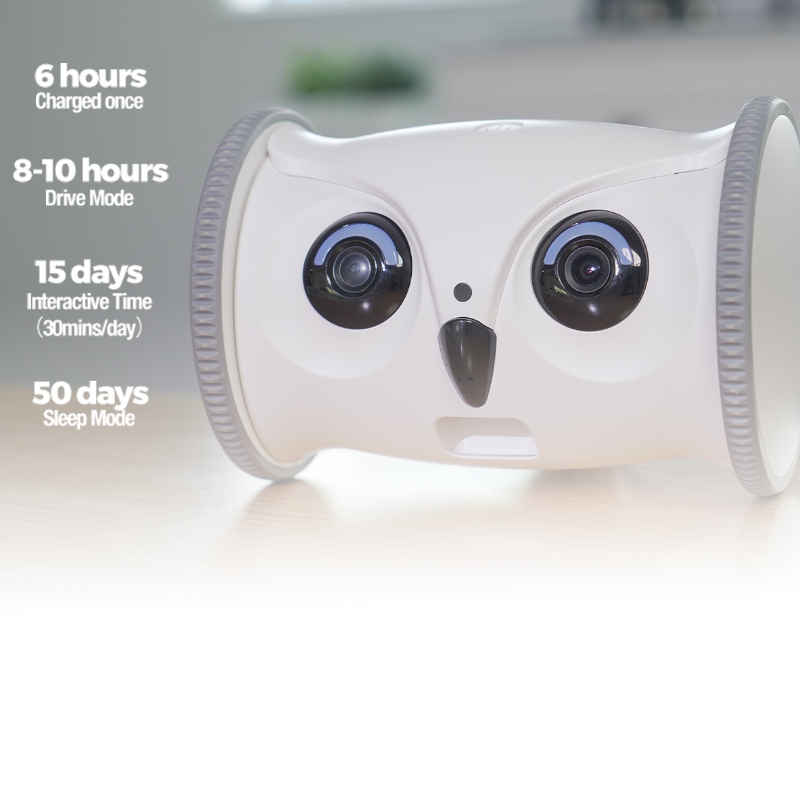 Smart Owl Robot Sitat