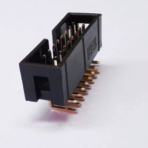 2x8p 2.54mm Pitch oikean kulman dip-ruutujen otsikkonaaraspistoke