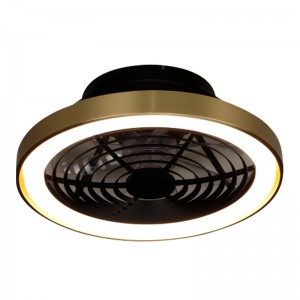 Puhallinvalo FL X BLJ70 620