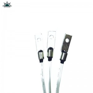 Kiina Factory OEM Mukauta B-arvo 4050K 10k ohm NTC termistori lämpötila-anturi 3D-tulostuskoneelle