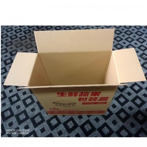 Carton Kraft Box