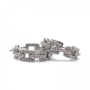 Eurooppalainen ja amerikkalainen muoti ruostumaton teräs zirkoni korvakorut (älä haalistu)