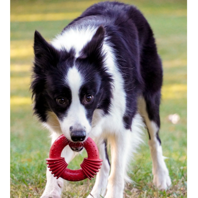 Furjoyz Extreme Interaktiivinen kumi koiran pureskelu leluja