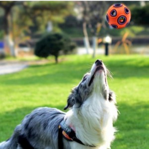 LED kelluvat koiran lelut