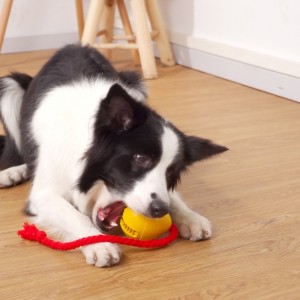 Kumi vuotaa välipala koira lelu